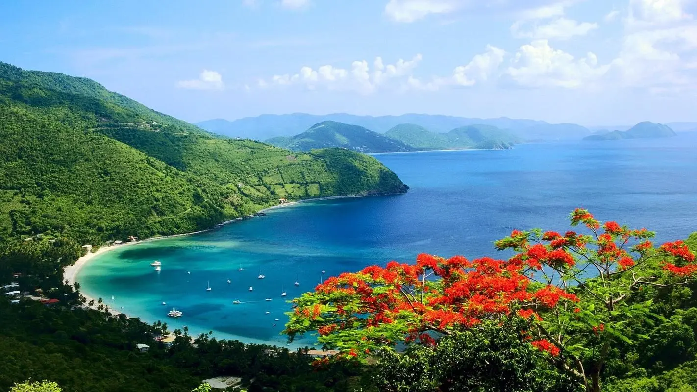 可靠性创意稳定性